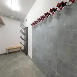 In Neukirchen Near Slopes * Нойкирхен-ам-Гросфенедигер